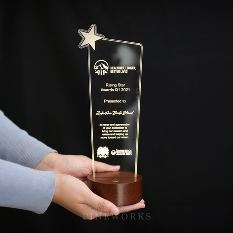 Acrylic LED Awards Plaque - Tower