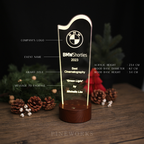 Acrylic LED Awards Plaque - Wave